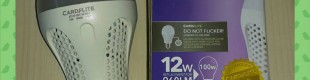 Bohlam LED Economy 12 Watt