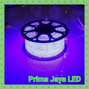 Lampu LED 2538 Flexible AC 220 Volt Biru