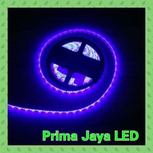 LED Strip Biru 5050 IP44