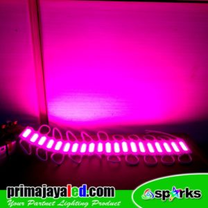 LED Module COB 2 Watt Pink
