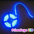 Flexible LED Strip 3528 Biru IP44