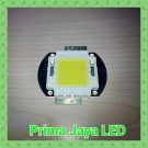 Chip LED 100 Watt