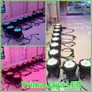 New Par LED 54 Outdoor RGBW