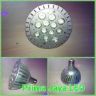 LED Spotlight Par38 12 Watt
