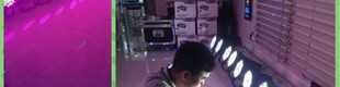 Lampu Panggung Par LED 84