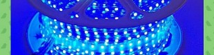 Selang LED SMD 5050 IP65 Biru