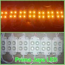 Hiled Module 4 Mata Kuning