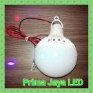 Lampu Bohlam Koneksi Listrik AKi