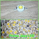 Mata LED 1 Watt