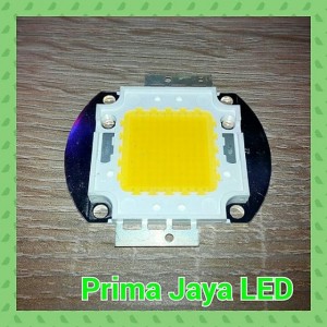 Mata LED Chip 100 Watt Warm White