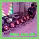 Paket Par LED Weeding Lighting