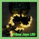 Lampu Twingkle LED Anggur Warm White