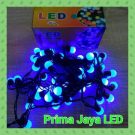 Twinkle Light Anggur Biru