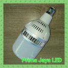 Bohlam Lampu LED 48 Watt