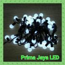 Twingkle LED Anggur Putih