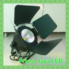 Freshnel LED 100 Watt