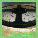 LED Strip 3528 IP44 Merah