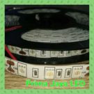 LED Strip 5050 IP44 Merah