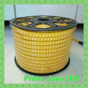 LED Flexible 3528 Double