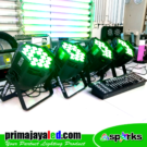 Paket Set 4 Par 18 x 10 DMX