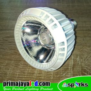Par 38 LED 20 Watt