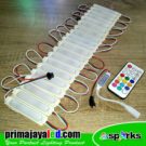 Module LED Sympony RGB Wireless