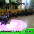 Paket Medium Par 54 Fresnel