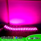 LED Module COB 2 Watt Pink