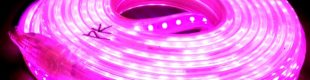 Lampu Selang LED 3 Jalur Pink 10m