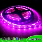 Flexible LED Strip 12V Indoor 5 Meter