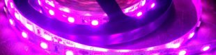 Flexible LED Strip 12V Indoor 5 Meter