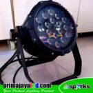 Par LED 18 x 10w Rainroof