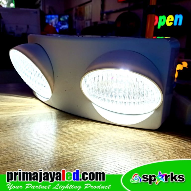 LED Emergency Swivel 2 Light