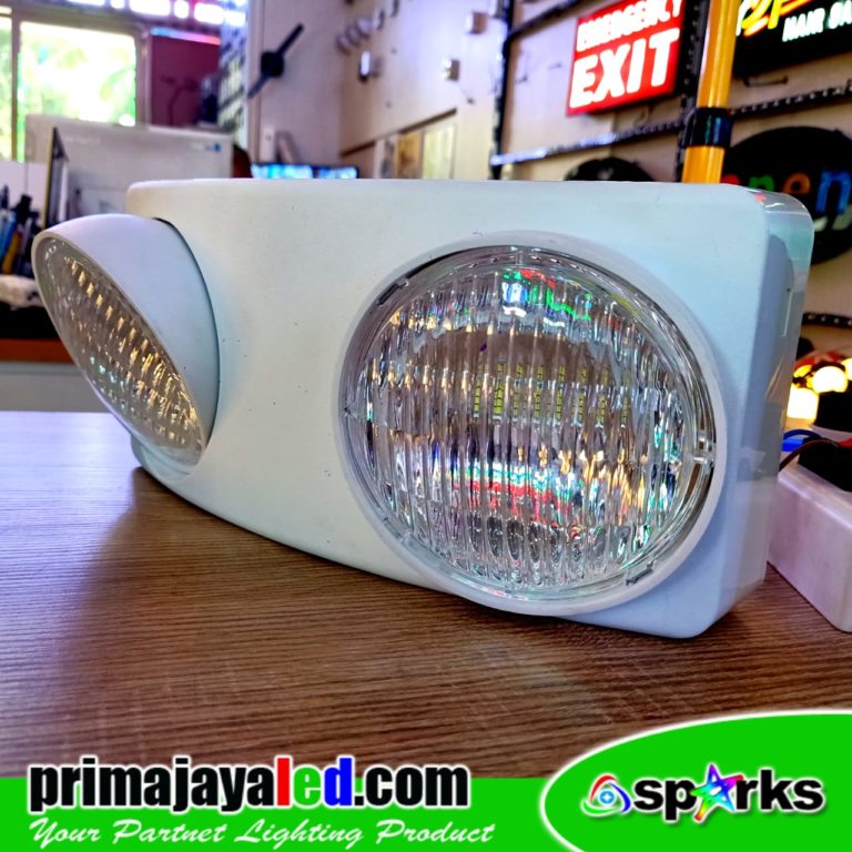 LED Emergency Swivel 2 Light