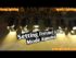 Setting Fresnel LED Mode Running