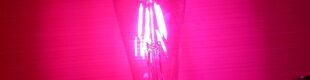 Bohlam LED Fillamen Kaca ST64 Warna Pink