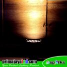 LED Par 54 Fresnel Warm White