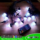 LED String Light RGB Remote Outdoor
