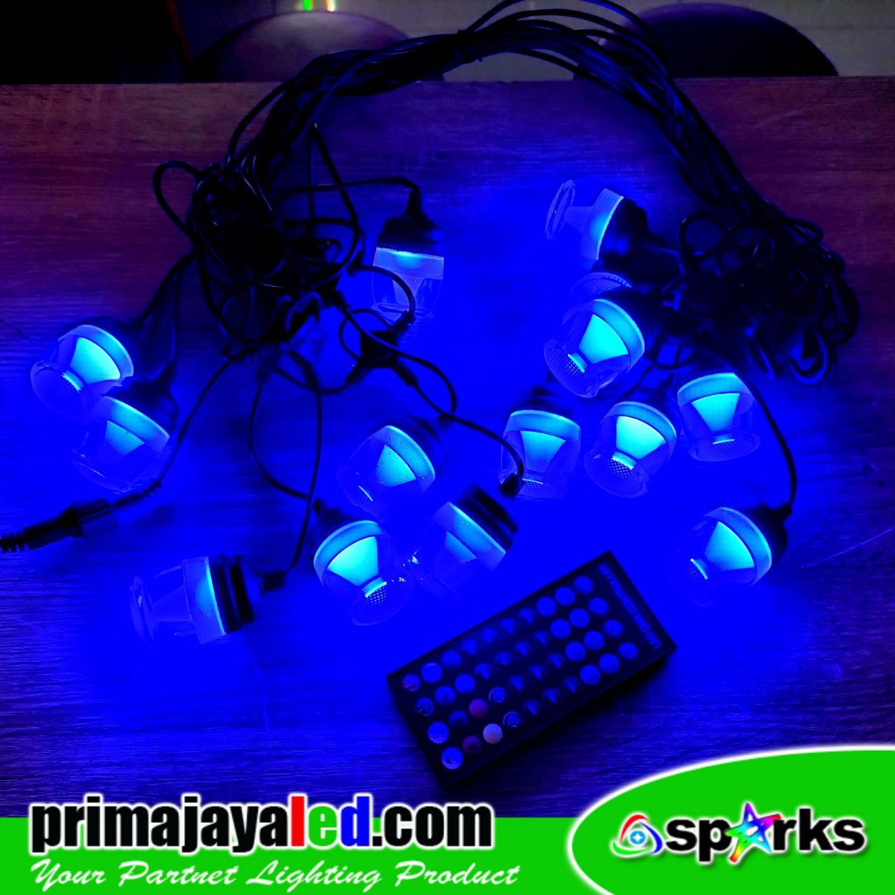 LED String Light RGB Remote Outdoor