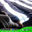 Mini LED Modul 2 Mata 12V DC