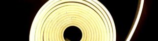 Neon Flex LED 12V 5 Meter Warm White