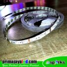 Lampu LED Strip RGB 12V IP33 Indoor